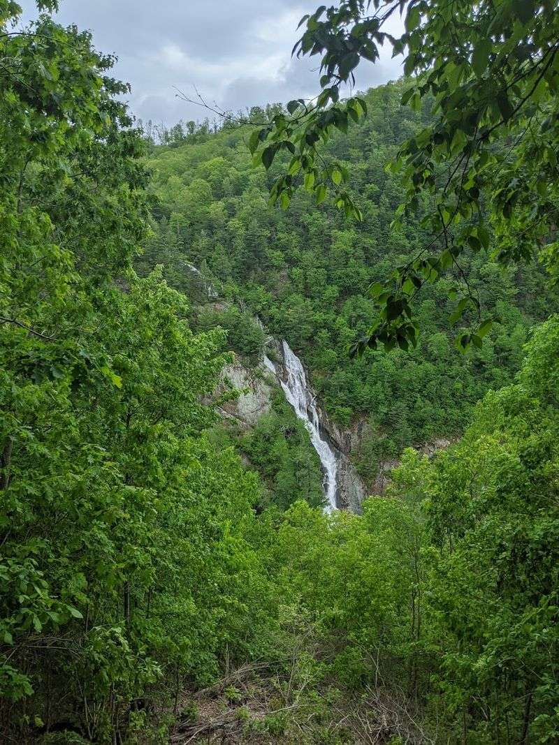 Why The Nature Conservancy Chose This Gorge to Protect