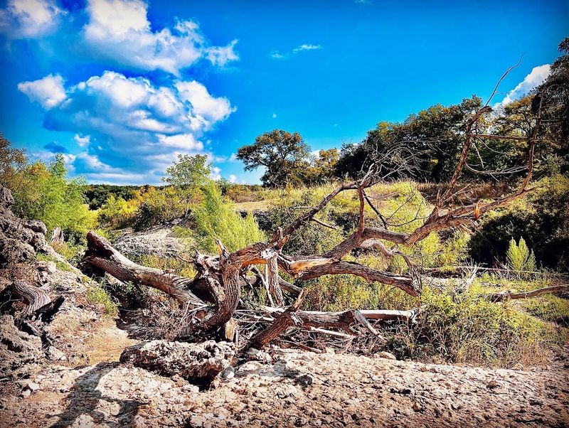 Rules and Etiquette at the Falls