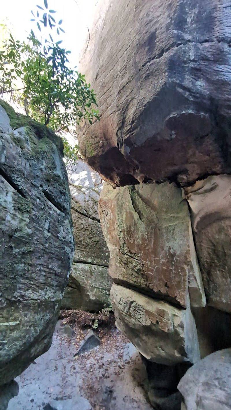 Plan Your Visit to the Channels Natural Area Preserve