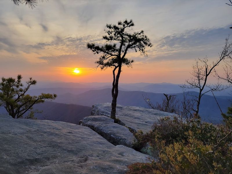 Sunrise Magic: Why the Early Bird Gets the Knob