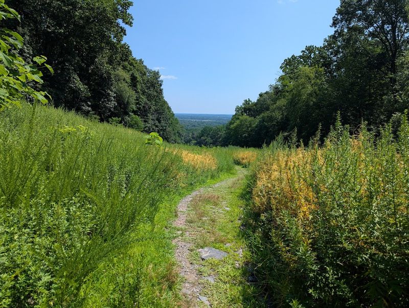The Pipeline Clearing and Its Surprising Views