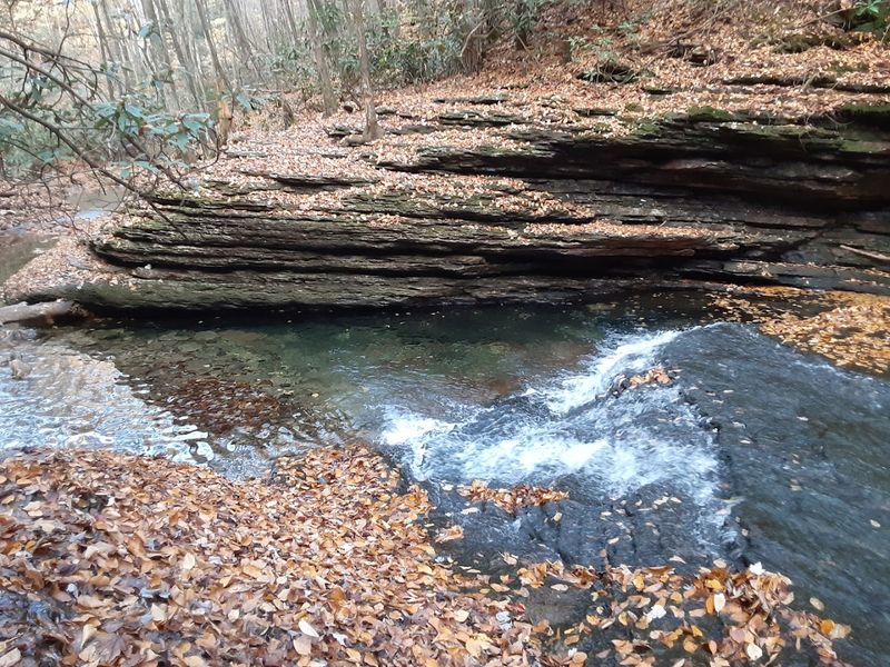 Best Times to Visit for the Ultimate Experience