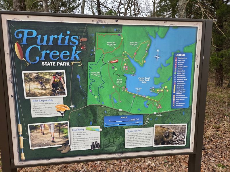 How to Get to Purtis Creek and Plan Your Trip