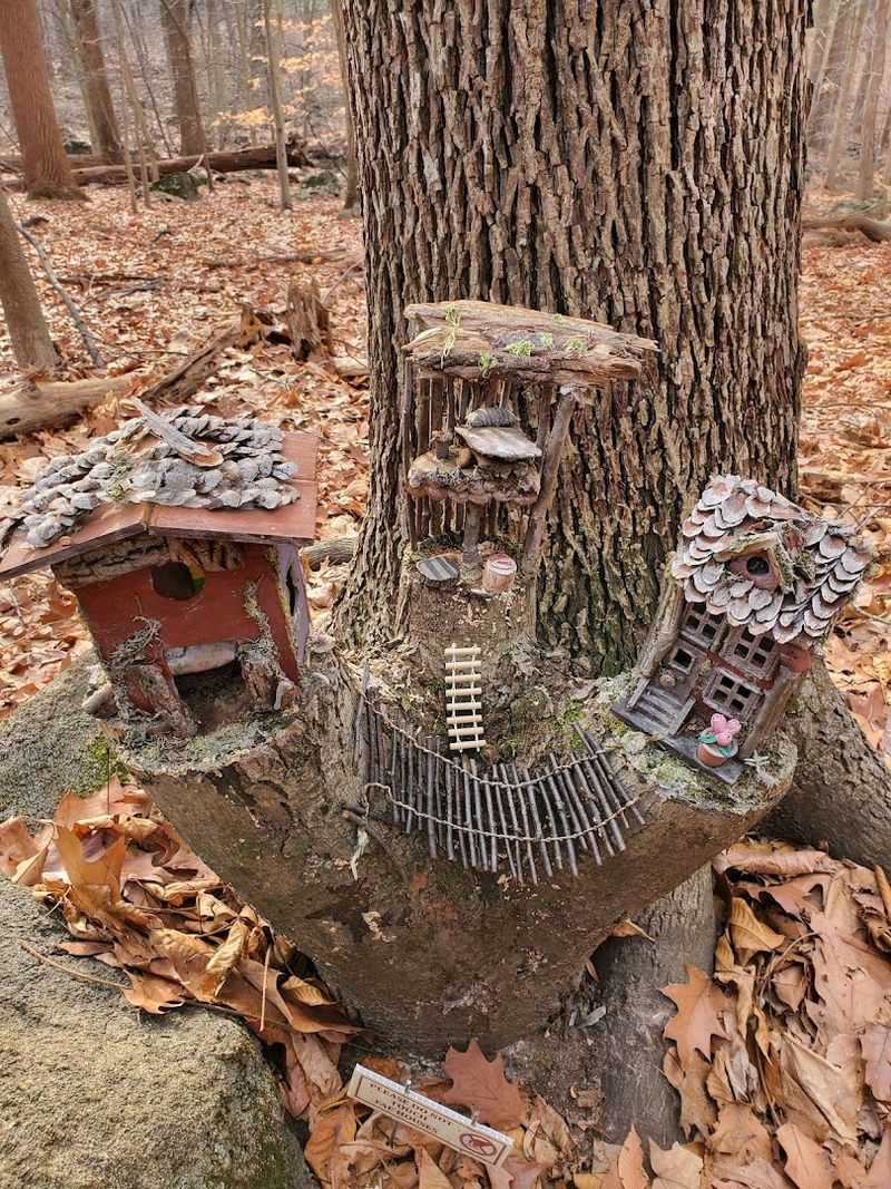 The Non-Profit Mission Behind the Magic