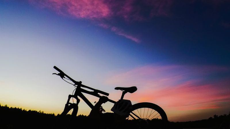 Dogs, kids, and families at the Brazos river trail