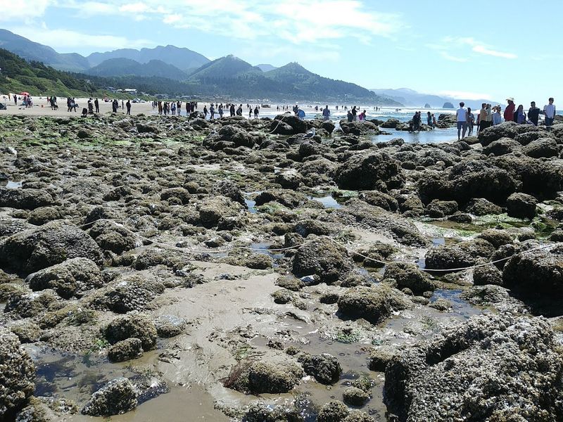 The Best Time of Year to Visit for Wildlife