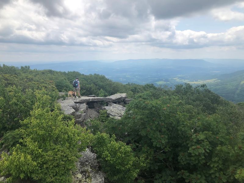 Hiking Bald Knob for the View That Stops You Cold