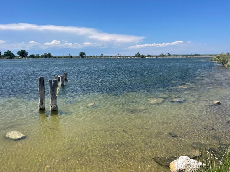 That First Moment You Step Into the Water