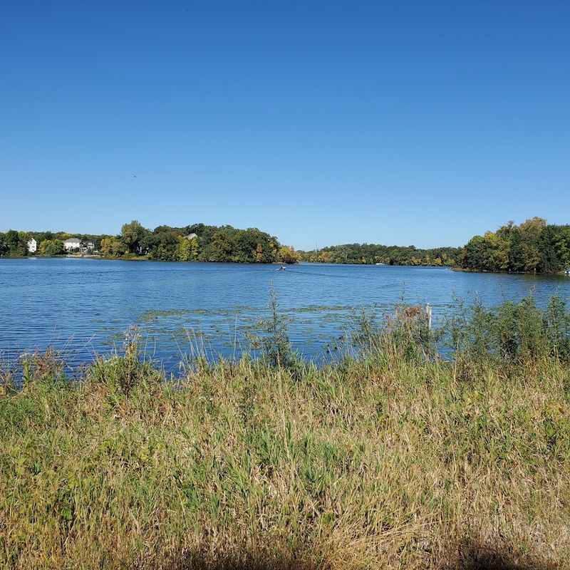 What Makes the Fish So Healthy Here