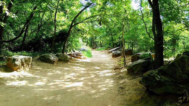 The Mountain Bike Trail Network Keeps Riders Hooked