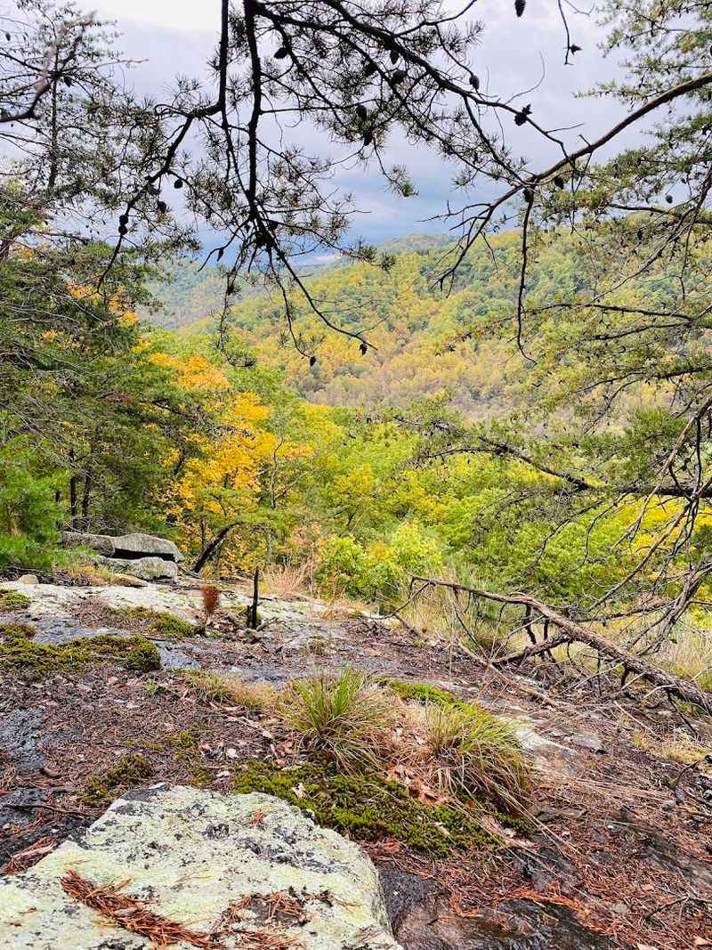 The Rocky Glades That Fooled Everyone Into Thinking They Were in Arizona