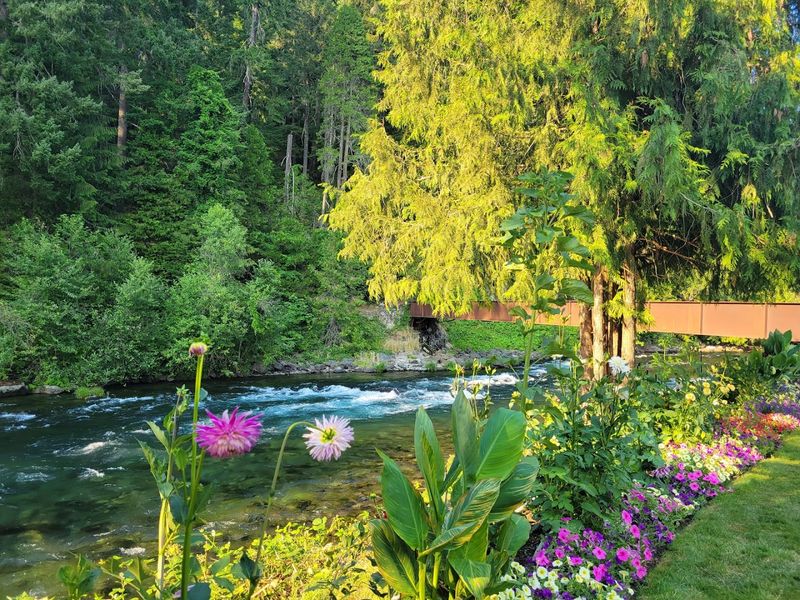 Gardens That Feel Like They Grew Themselves