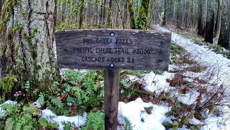 The Pacific Crest Trail Stretch That Makes It Special