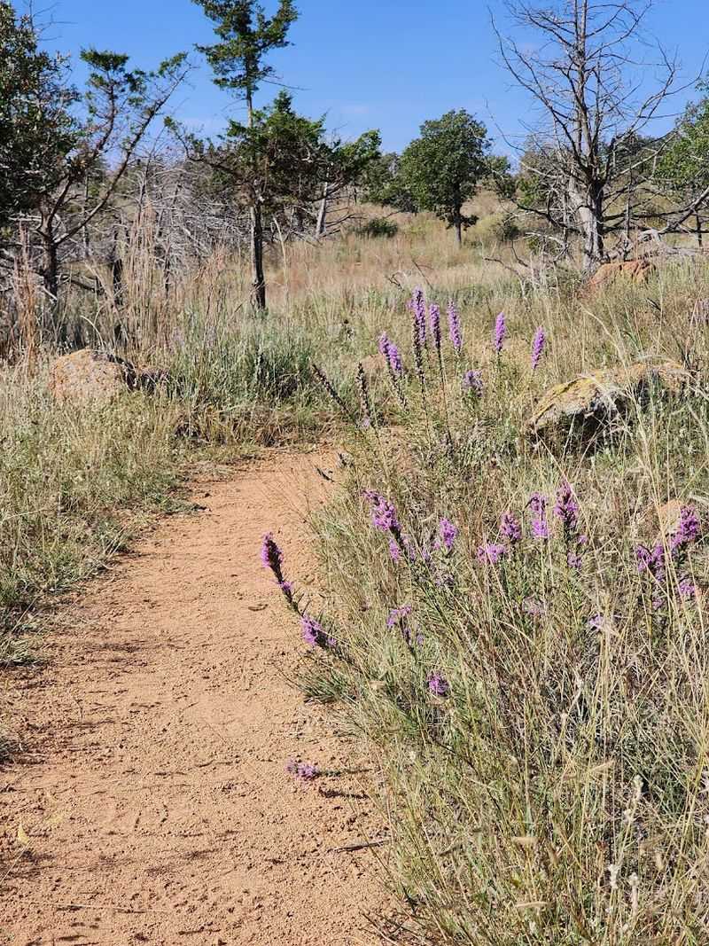 The Elk Trail Offers a Gentle First Step Into the Refuge