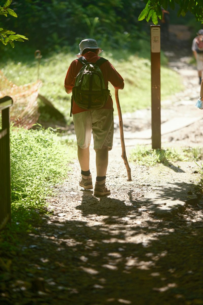 Well-Maintained Pathways That Keep The Experience Safe And Enjoyable