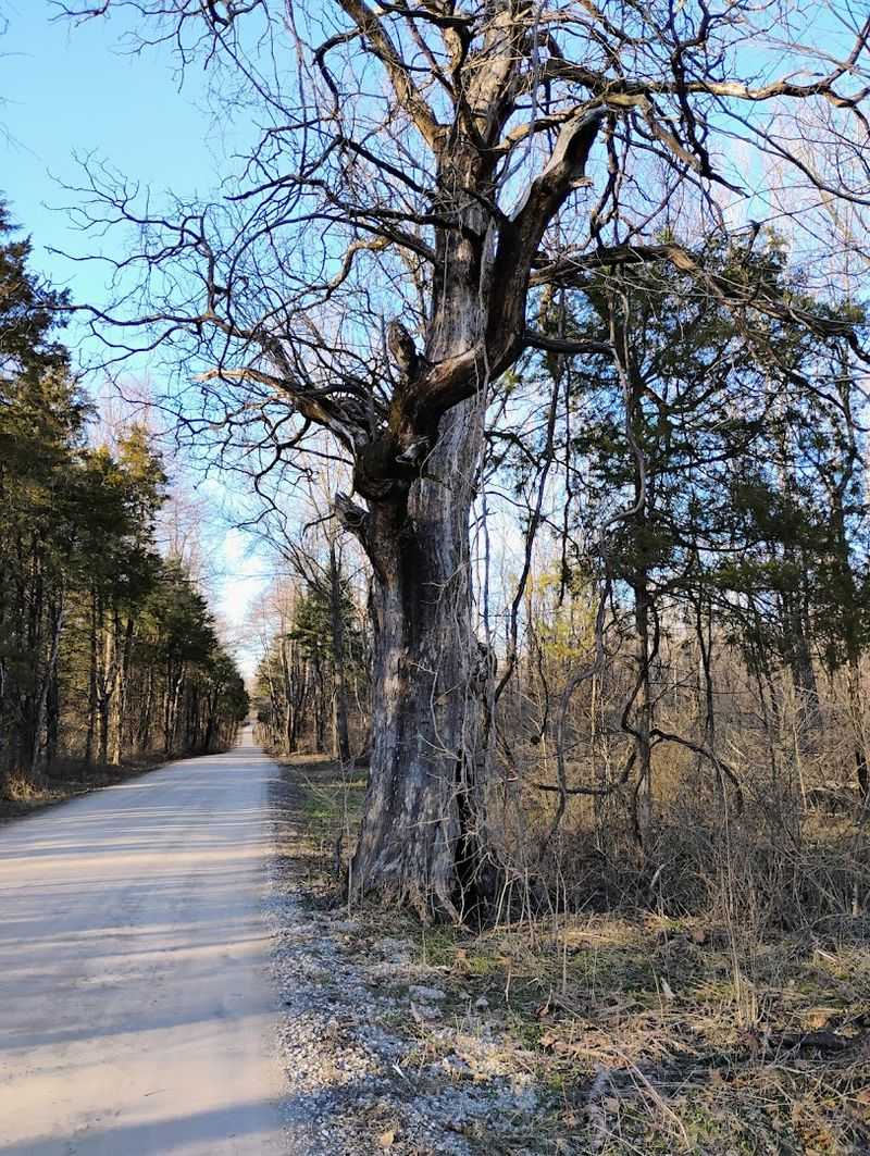 A Scenic Auto Tour Built For Unhurried Exploration