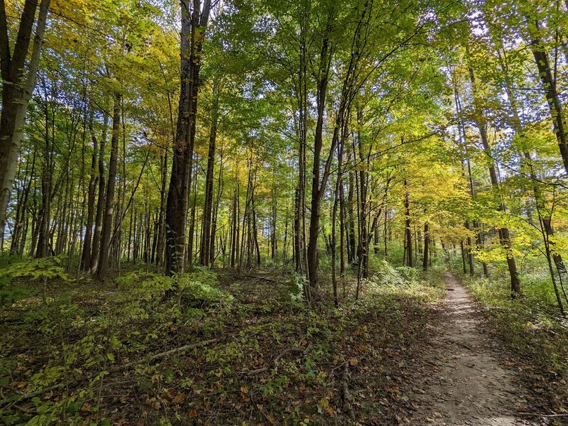 Nine Miles of Hiking Trails Through Hardwood Forest