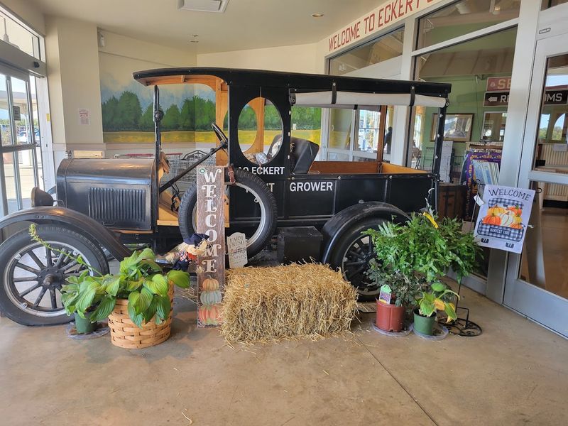 An Illinois Market That Feels Full Of Harvest