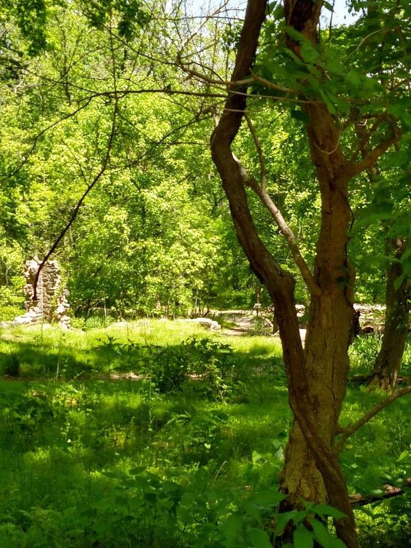 Wildlife and Scenery Along the Way