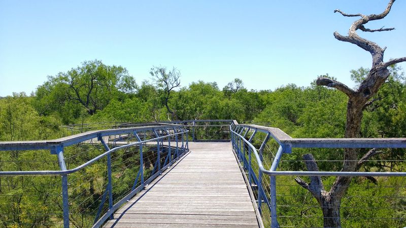 The Hawk Observation Tower Experience