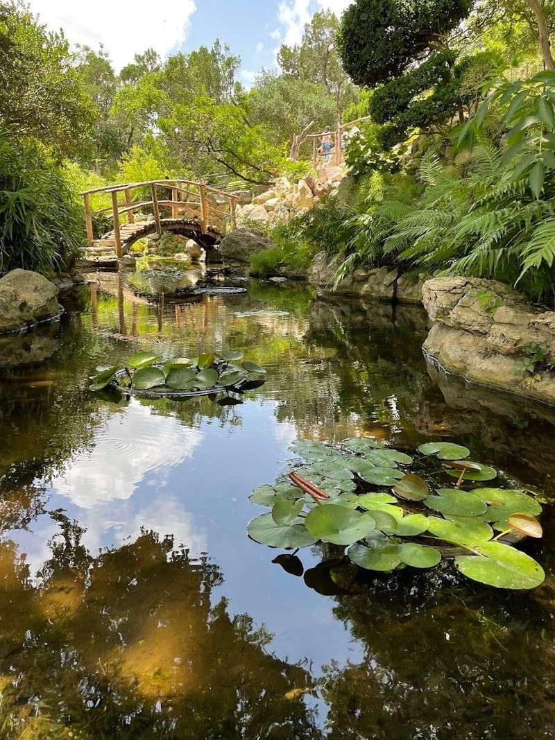 Making the Most of Your Visit to Zilker Botanical Garden