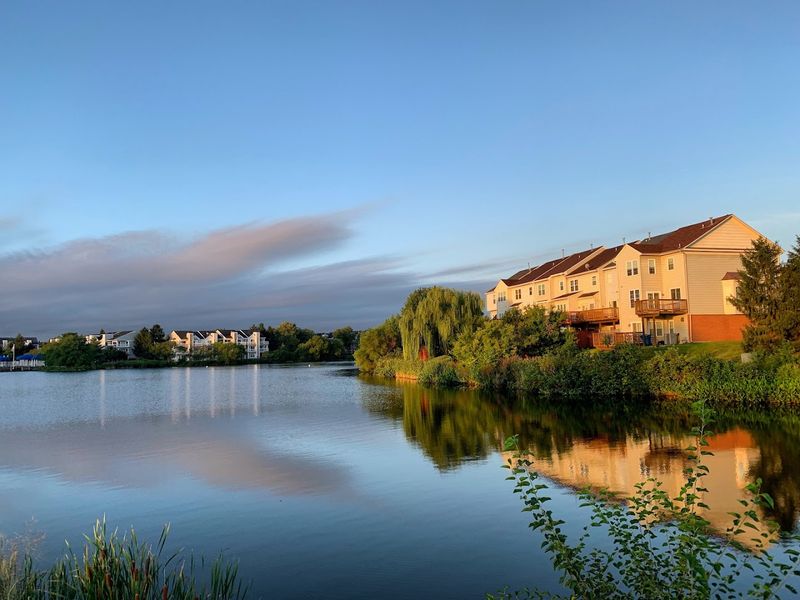 The Government Connection That Changed Everything