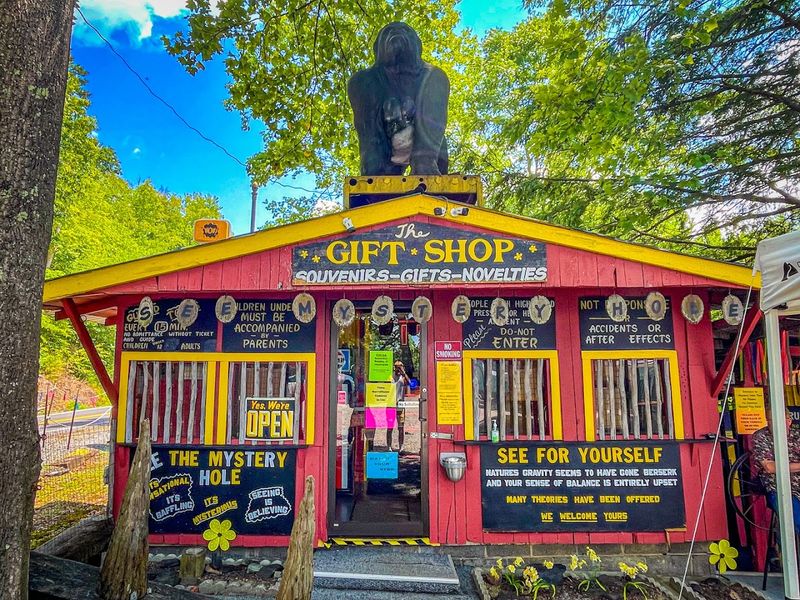 A Wild Backstory That Feels Hard To Believe