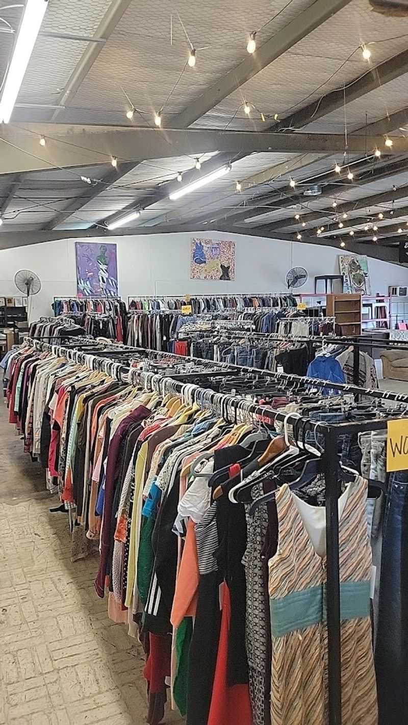 The Layout That Makes Shopping Feel Like a Strategy Game