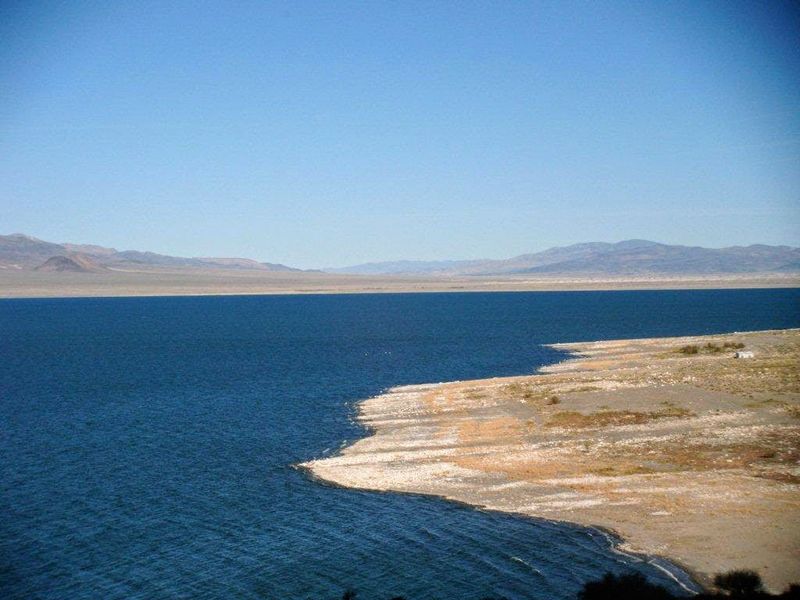 Bird Habitat Loss Around The Lake