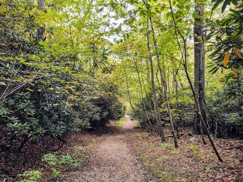 Planning Your Visit to Bottom Creek Gorge Preserve