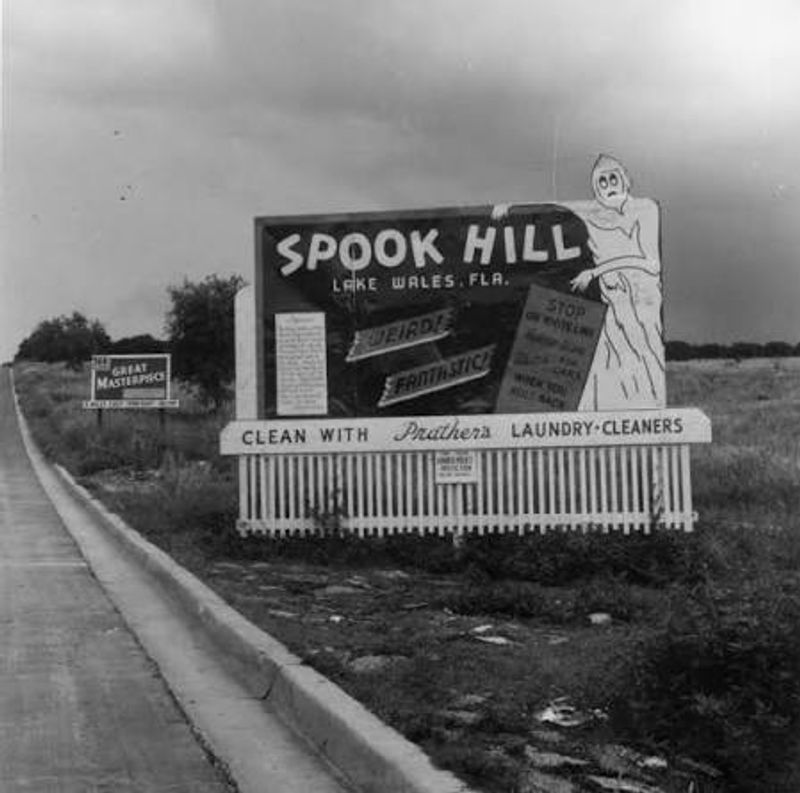 A 1950S Roadside Attraction That Never Closed