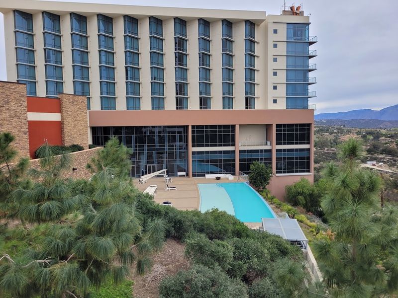 The Dinner Hours That Shape The Crowd Flow