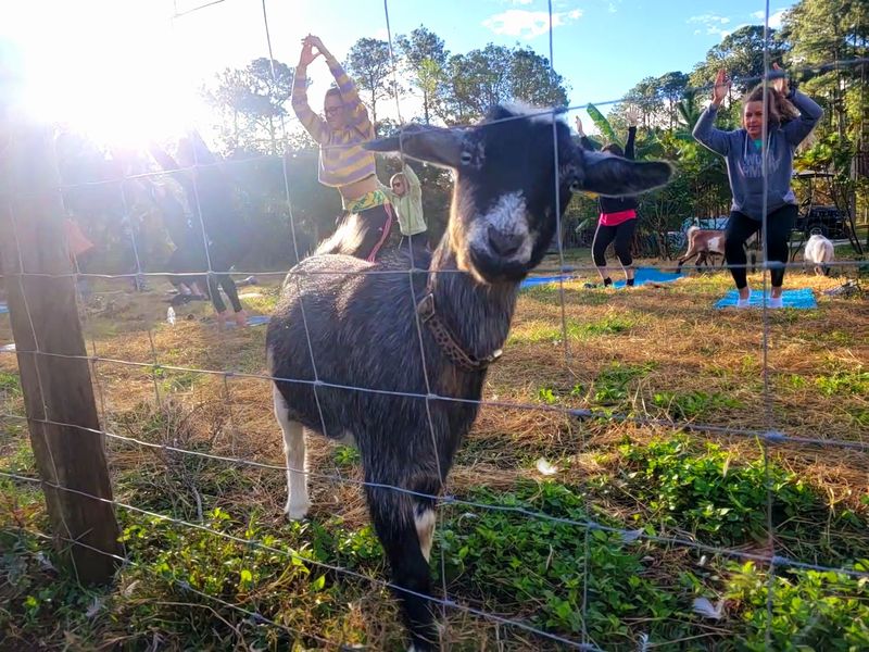 Perfect for Beginners and Skeptics Alike