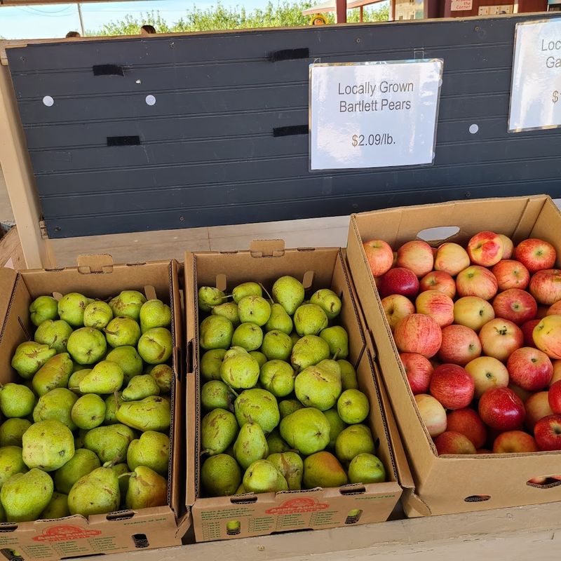 The Seasonal Rhythm That Keeps Things Changing