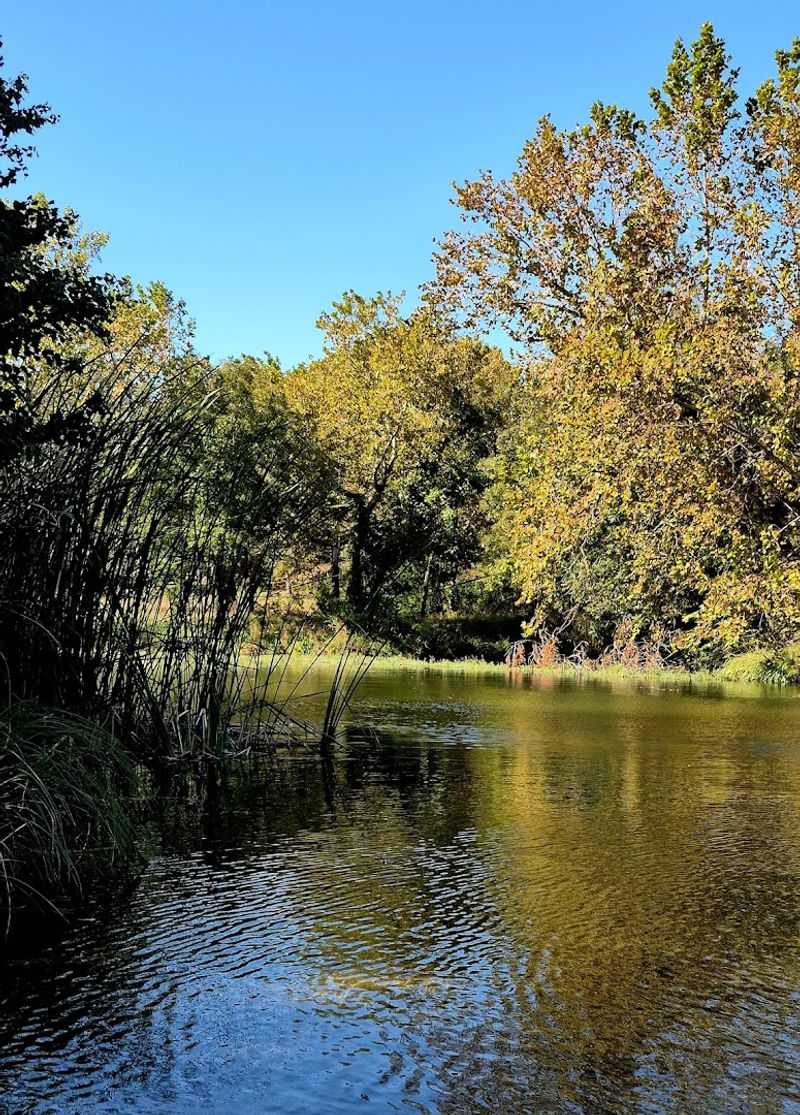 The Rich History Beneath the Surface