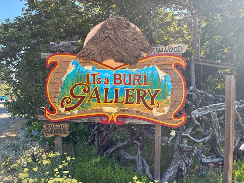 Planning Your Visit: Hours, Location, and What to Expect