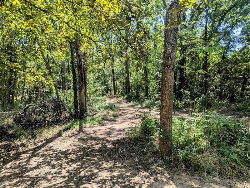 The trail layout and what to actually expect