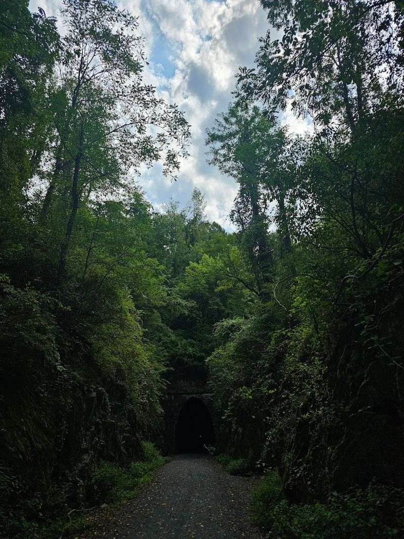 The Trail That Leads You There