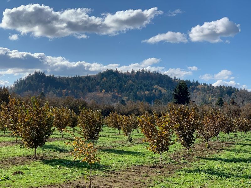 Going With a Group Makes It Completely Different