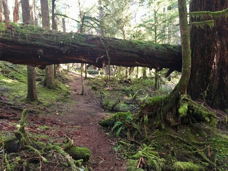 The Lasting Impression This Place Leaves Behind