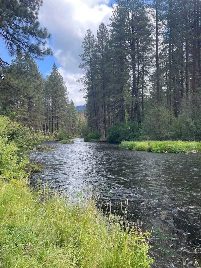 Metolius River Trails, Sisters, Central Oregon