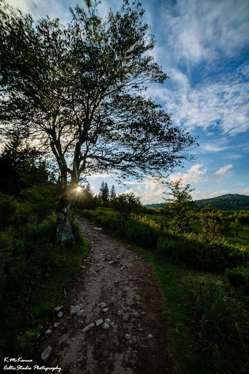 Waterfalls Along Cabin Creek Trail: Nature's Own Sound System