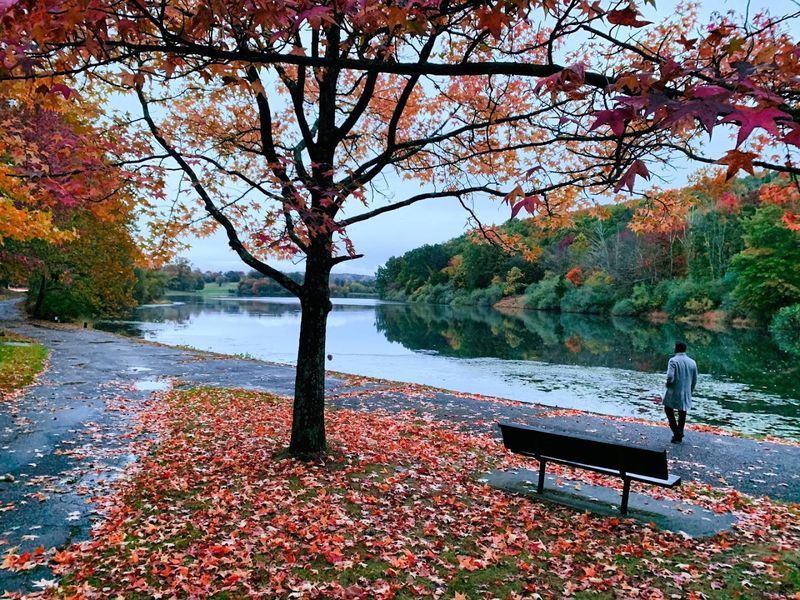 Hiking Trails That Wind Through 1,600 Acres of Forest