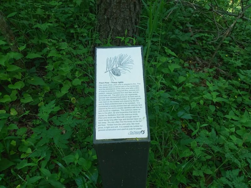 The Interpretive Signs: A Moving History Lesson