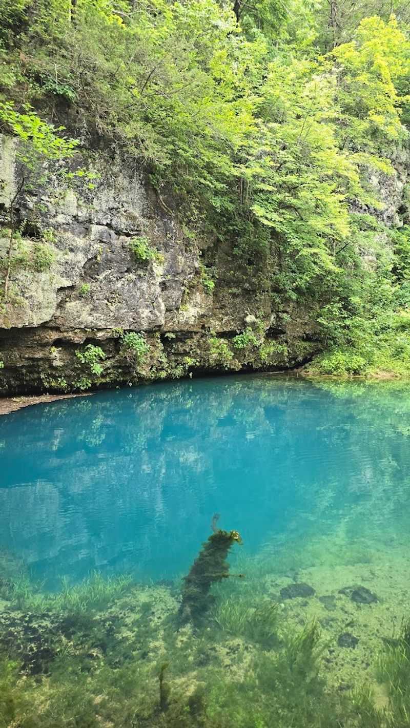 Photography Tips for Capturing the True Color of the Spring