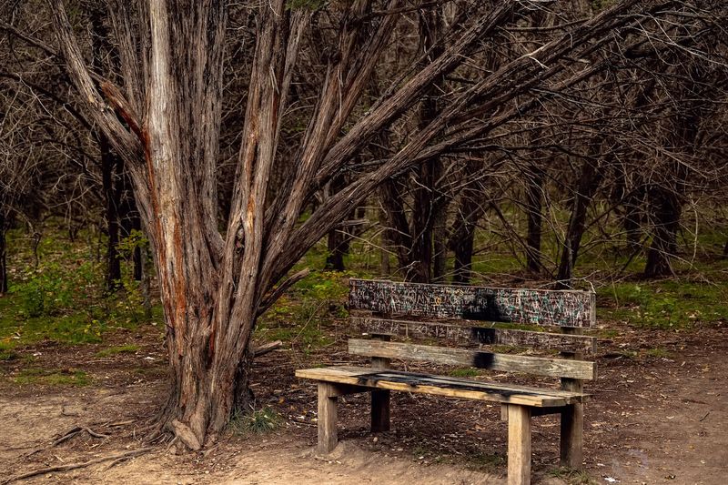 The Chalk Ridge Loop: For Those Who Want More