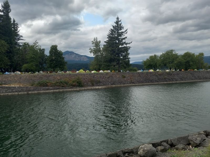 Events And Festivals That Bring The Island To Life