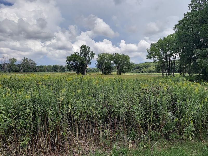 The Nature Center Building and Indoor Exhibits