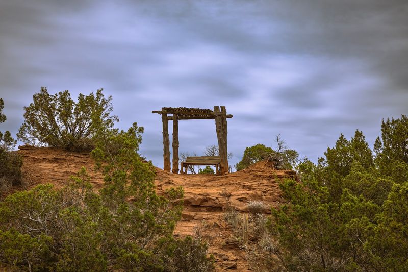 The Juniper Ridge Nature Trail Experience