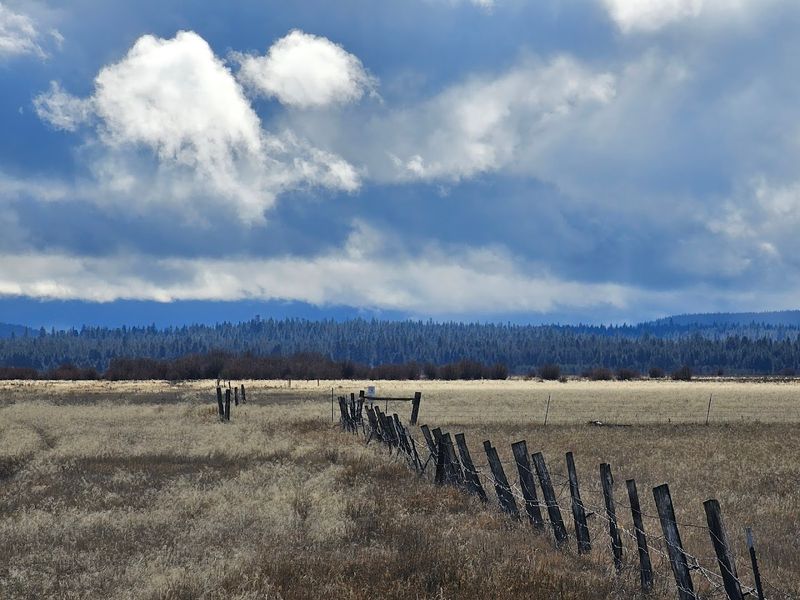 How the Klamath Basin Fits the Bigger Picture